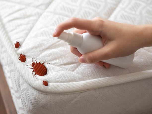 Pest Control Cost in Owensboro, KY